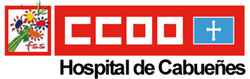 Secci�n Sindical CC. OO. �rea V - Hospital de Cabue�es